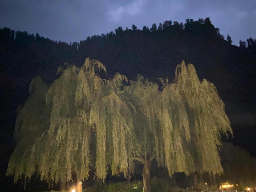 Solang Valley Resort Manāli Extérieur photo